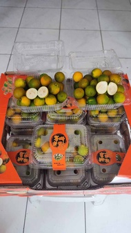 Jeruk kimkit 1pack