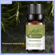 BGT  10ML Rosemary Essential Oil Moisturizing Rosemary Single Massage Oil for Beauty