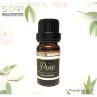 Soap Artisan Pine Essential Oil 10ml