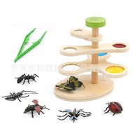 Science Experiment Set Toys Little Doctor Children Plant Animal Magnifying Glass Observation Glass T