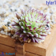 TYLER1 2pcs Artificial Succulent Plants, DIY Mini Fake Succulent Flocking Plants, Photo Props Realis