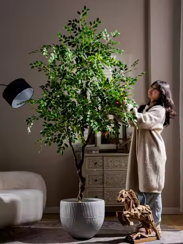 Simulation Elm Tree Money Banyan Tree Fake High-end Light Luxury Green Plant Large Plants Indoor Flo