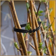 Tree Support Straps Heavy Duty Reusable Cable Garden Accessories Tree Branch Support for Outdoor Ind