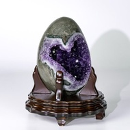 ESP 烏拉圭恐龍蛋 951260