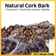 Natural Cork Bark Reptile Terrarium Cork Bark Hiding Cave Tarantula House Beetle Terrarium backgroun