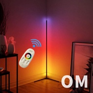 OM European style LED corner rgb floor lamp.Simple and modern Standing Lamp,bedroom lamp,nordic floo