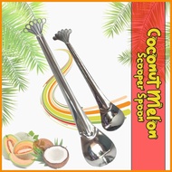 ▬  ◸ Pangkayod ng BUKO at MELON Stainless Steel Filipino-Style Coconut Melon Grater Scraper Scoope