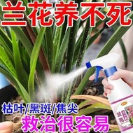 【有機肥】【花肥】蘭花專用植物活力素小家用快速促發芽生根營養液 通用