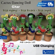 FT Talking and Shaking Cactus Voice Recording/