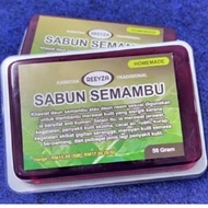 SABUN DAUN SEMAMBU UNTUK PANAU & KURAP