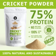 Cricket Powder 75% Protein (ผงโปรตีน 75 % จากจิ้งหรีด)
