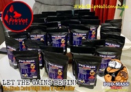 Pro Mass Advance The Ultimate Weight Gainer Appetite Booster and Muscle Builder for Dogs For Skeleta
