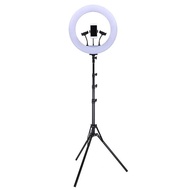 Taffstudio LED Ring Light Camera Lamp 18 Inch & 3 Holders - JY-460B