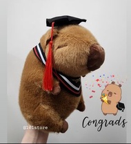 🎓現貨 ✨️水豚畢業公仔 畢業禮物  幼稚園畢業 大學畢業 capybara 卡皮巴拉