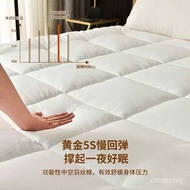 Hotel Star Tilam Lembut Bulu Tebal Baldu Tatami Tilam Homestay Tilam Rumah Tilam Asrama