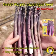 (High Germination 10pcs)High Yield Purple Asparagus Seeds for Planting Vegetable Plants High Yield F