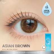 GLAM [Hyaluron Lens] รุ่น Asian Brown เลนส์ไฮยาลูรอน ดีที่สุดสำหรับคนตาแห้ง (ใส่ได้นาน 16 ชม.)