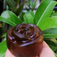 [READY STOCK] CHE V DARA SOAP (FAMINE WASH)