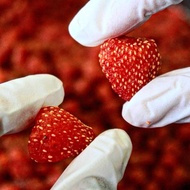 DA LAT DRIED STRAWBERRY - 300g