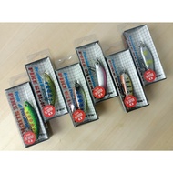 Bearking Fishing Bait 50 Mm. 5 Grams
