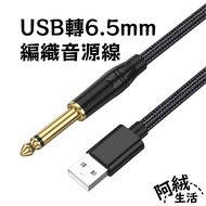 Ah Rong Life USB To 6.5 (6.35) mm Single Double Ring Braided Audio Cable|1-5m|RN-542