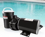 W3SP1580X15 1.5 Horsepower Pool Pump, 60Hz, 3450RPM Single Speed Motor Compatible with Hayward Power