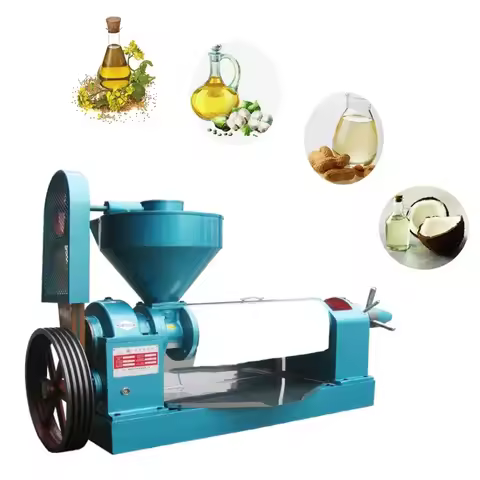High quality rapseed peanut walnut oil making machine peanut sunflower Seed soybean oil presser mach
