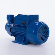 ♞0.5HP Electric Water Pump Booster Pump Heavy Duty Peripheral Booster Jetmatic Pump Jet Pump 1/2HP