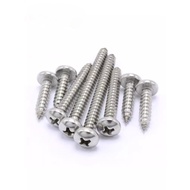 M4.2/m5/m5.5 SUS304 Round Head Screw Self-Tapping Screw Phillips Self-Tapping Screw Screw