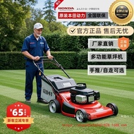 Honda Zongshen Power Hand-Push Lawn Mower, Gasoline Lawn Mower, Grass Cutter, Household Hand-Push Mo