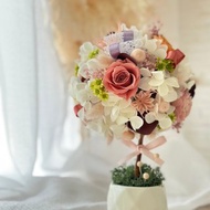 日本永生玫瑰花_許願擴香花球樹