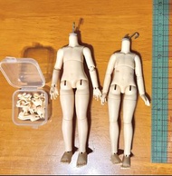 阿己1 阿己2普肌素體一對 12分bjd素體ob11