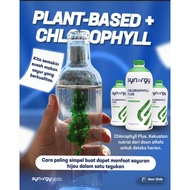 CHLOROPHYLL PLUS (25 Oz) Synergy Helps Maintain Oxygen Circulation