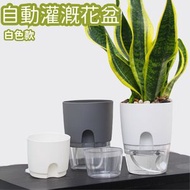 其他品牌 - 【中號白色】透明雙層自動灌溉花盆 簡約創意自吸水花盆 透明塑料花盆