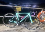 specialized allez sprint公路單車 快走 