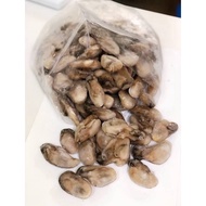 1KG WITH ICE | SIZE 9-11 | CHINA FROZEN OYSTER MEAT | ISI OYSTER TAIWAN | 中国冷冻生蚝肉