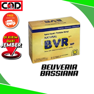 Obat hama wereng / walang sangit / ulat / belalang / bio Pestisida organik / pestisida insektisida organik / produk nasa Bvr / obat pembasmi hama wereng padi paling ampuh / Pestisida hayati / racun Bvr / Pestisida organik / obat hama trip / obat hama padi