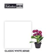 VALENTINO GRESS CLASSIC WHITE 60x60