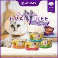 Wellness Complete Health - Gravies Grain-Free Bits in Ample Gravy Wet Cat Food 3oz (85g) | 4 Flavors