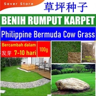 Saverstore 100G Philippine Bermuda Cow Grass Taiwan Seeds Grass Seed Benih Rumput Carpet Biji Benih 