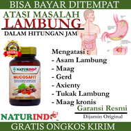 Mucosafit Naturindo Obat Asam Lambung Magh Gerd Tukak Lambung Naturindo