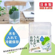 JPE - 【日本製】V型設計葉子保存盒 紫蘇葉儲存盒 香葉保鮮盒 香草儲存盒 薄身食身保鮮盒 蔬菜保存 葉子保鮮盒