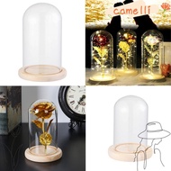 CAMELLI Glass cloche Fairy Lights Terrarium Tabletop Terrarium Transparent Bottle Jar Wooden base