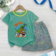 Roar Rex Green Dinosaur Cotton T-shirt Set Printed Pants for Boys Size 6-10, From 15-28Kg TN09251
