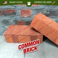 [1 PC] COMMON BRICK / Red Bricks / Brick Decoration / 3 Hole Facing Brick / Batu Johor / Batu Bata M