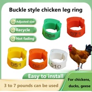 20/50 Pcs Adjustable Chicken Brand Leg Ring Poultry Foot Ring Inner Diameter 2mm to 2.4cm Retractabl