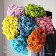 Gypsophila Ilo Manufacturer Immortal Dried Flowers Yunnan Stall Wholesale Kilogram Bouquet Gypsophil