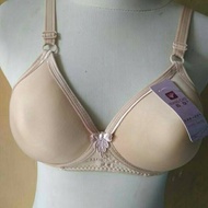 Bh Xiang cao / LU CAO / LV cao