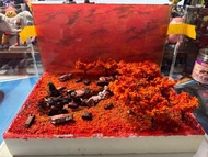 Bandai HG MG PG 00 OO 能天使 00 raiser熾天使 墮天使 智天使 花海 山巔 楓林 冰川 水底 場景模型