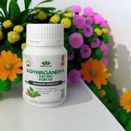 Free Shipping🔥 ASHWAGANDHA KSM-66 ORIGINAL RafaHerbs HQ Murah Aswagandha Ashwaganda Ashvagandha KSM6